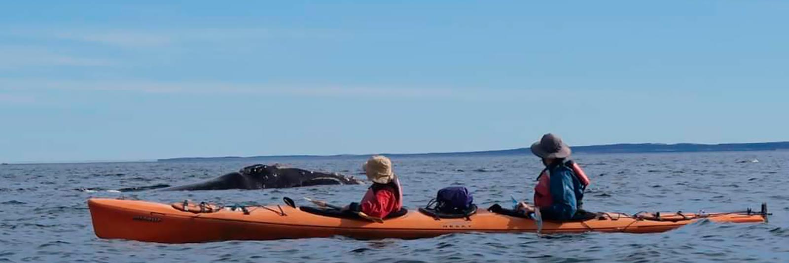 CAUSANA-kayak