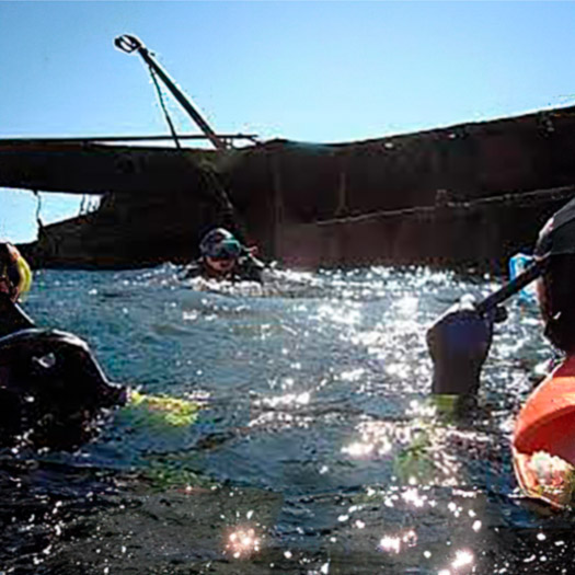 CAUSANA-snorkelling-naufragio-folias-2